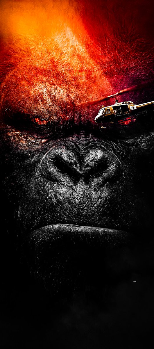 Design_JaiAK___'s tweet photo. KONG Wallpaper 🦍

#GodzillaXKongTheNewEmpire https://t.co/DQR2X5KZMt