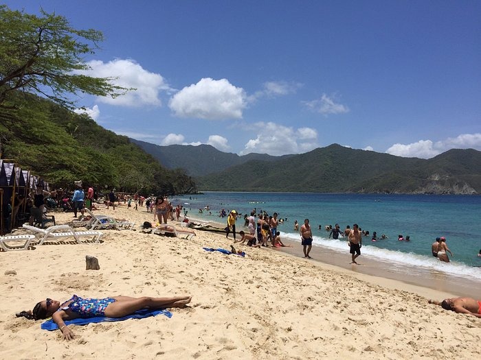 CartagenaToursC's tweet photo. 📍Playa Cristal se encuentra dentro del Parque Nacional Tayrona, ubicado a 30 km del Centro Histórico de Santa Marta. Para ingresar necesitas contratar un tour. Aquí puedes obtener mas informacion 👉🏽 https://t.co/uSODLOCRqN

#PlayaCristal #parquetayrona #santamarta https://t.co/moRLgZrdiv