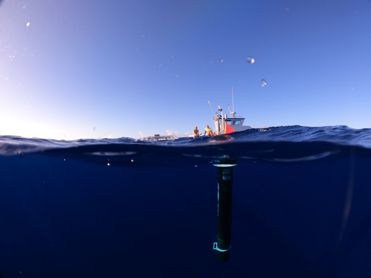 SeatrecInc's tweet image. ♾Day 2 of our Mission Infinity! 

Smooth waters for the #infiniTEfloat deployment off the coast of Kona. We&apos;re all set to have this self-powered subsea robot profile at 1000 meters in the Pacific.

Follow us for updates! 🌊🚢
#OceanMonitoring #sensors #fieldwork #climatetech
