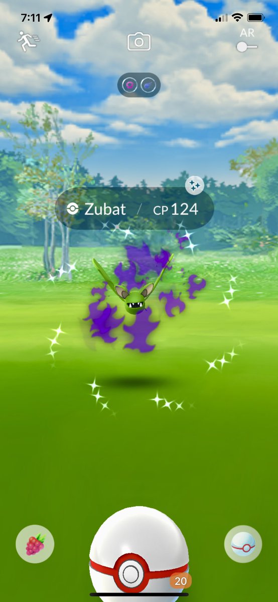 HermesNinja's tweet image. 💚✨💚 My first shiny shadow from a Rocket leader since July, 2023 - woohoo! Thank you Los Angeles! 💚✨💚

#PokemonGO #TeamGORocket #ShinyPokemon #ShinyCheck