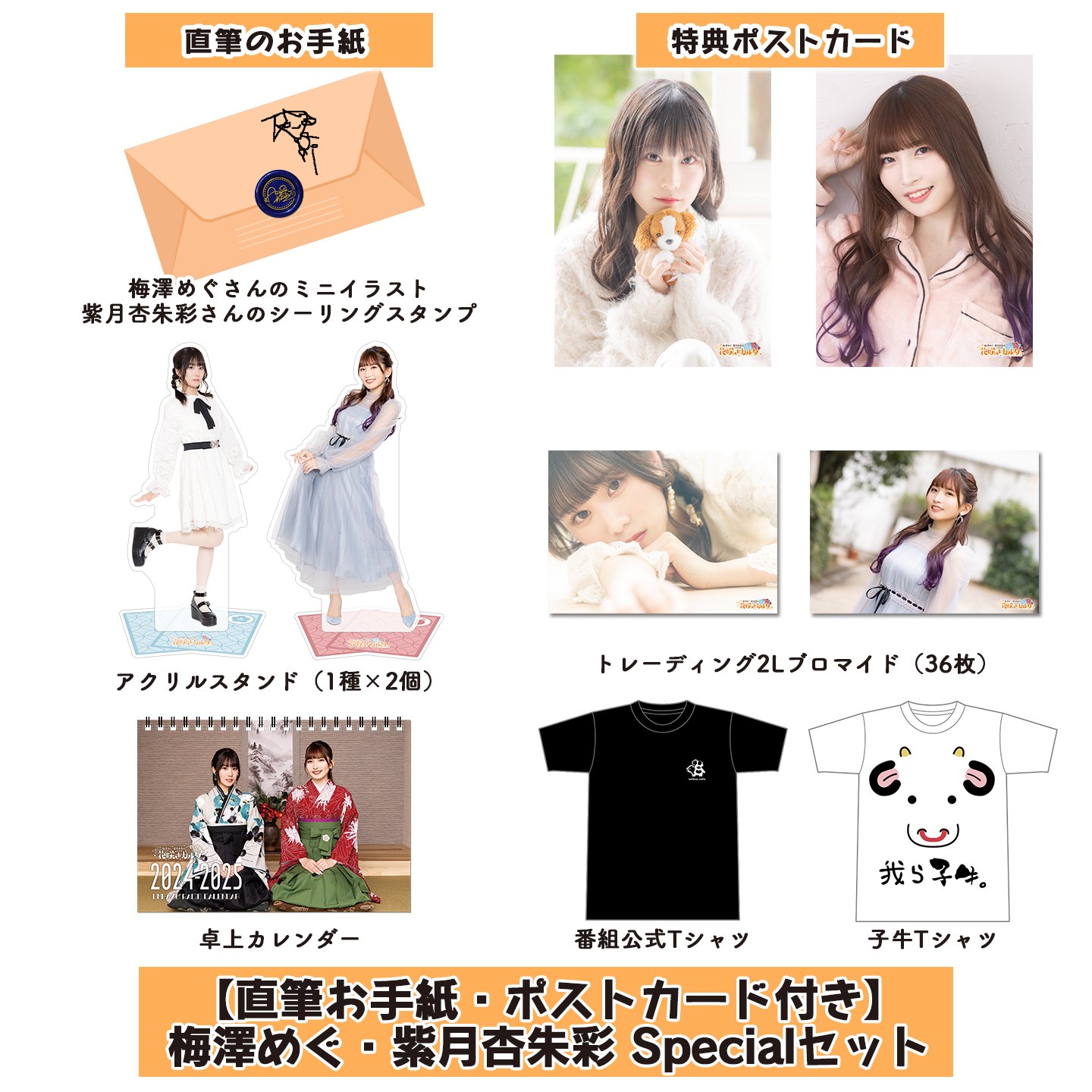 梅澤めぐアクリルスタンド2種セット