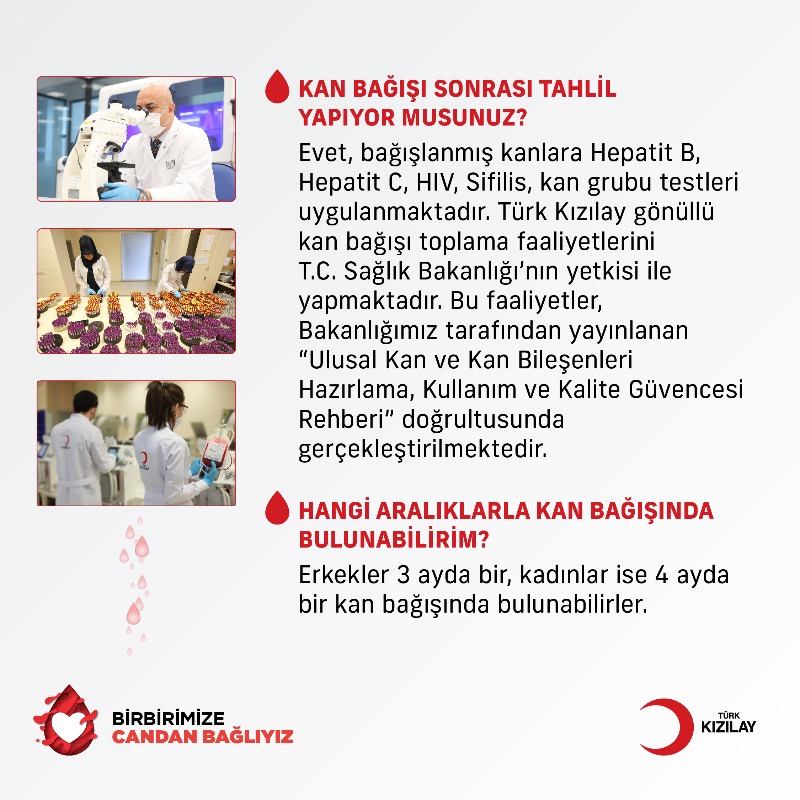 Kizilay's tweet photo. Kan bağışı seferberliğimiz devam ederken, hemen herkesin aklından geçen 10 soruyu yanıtlıyoruz. 🧑‍💻🩸 #CandanBağlıyız