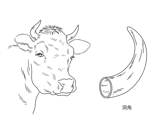 ウラケン・ボルボックスさんが始められたタグ #着色ビフォーアフター に便乗しまして動物のイラストを。  以前、描き方について少しお話したインタビューもあります。動物の毛のブラシを作ったりとか。