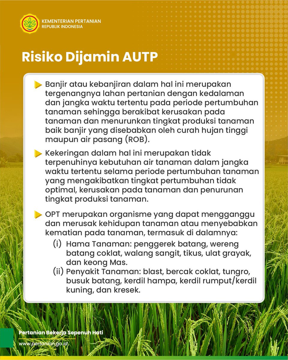 kementan's tweet photo. Lantas, apa tujuan AUTP, bagaimana mekanisme pendaftaran hingga kriteria apa saja yang termasuk dalam klaim asuransi?
Berikut informasinya. Silakan disimak yaaa!
#AUTP #AsuransiUsahaTaniPadi #AntisipasiGagalPanen https://t.co/FatbRjU5Uy