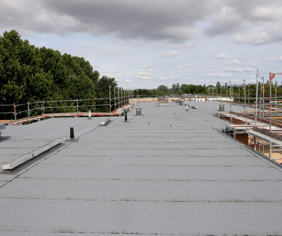 PRSRoofing_FL's tweet photo. Myth: Flat roof coatings only provide temporary fixes.
Don't fall for this misconception!

Advanced coatings offer long-lasting protection, keeping your roof worry-free for years. 💪

▶️ https://t.co/yjYcuFL5jw

#FlatRoof #roofingexperts #prsroofing #roofcoating #Deland https://t.co/FM38cj740P