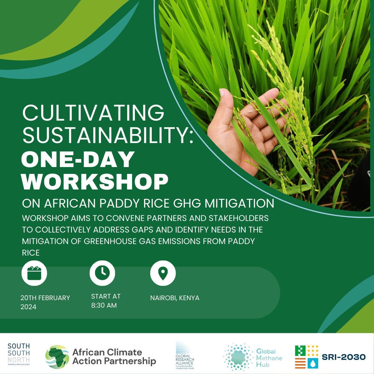 AfCAP, in partnership with the Africa Paddy Rice Research Group of <a href="/GRA_GHG/">GRA</a>, <a href="/SRI_2030/">🌾 SRI-2030 🌏</a> and with support from the <a href="/Gmethanehub/">Global Methane Hub</a>, will be hosting a one-day workshop to address gaps and identify needs in mitigating gas emissions from paddy rice in Africa. #ClimateSmartPractices