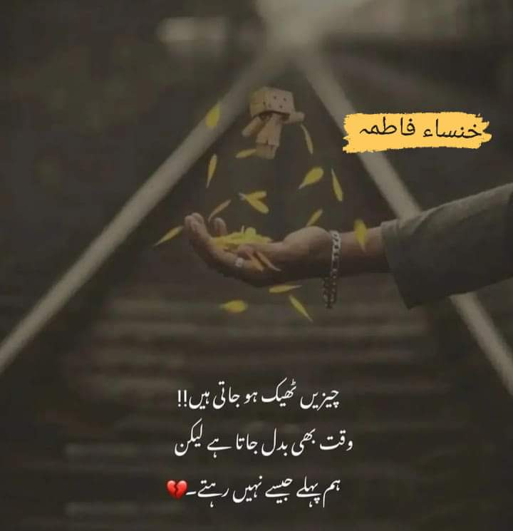 Anaya 🦋 tweet media