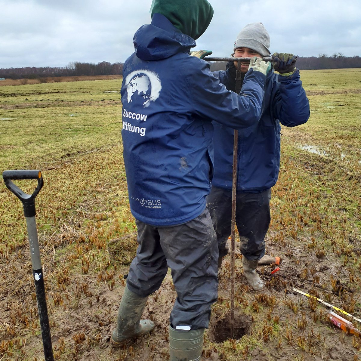 succow_stiftung's tweet photo. Für eine sorgfältige #Moorwiedervernässung ist es ratsam zu wissen, wie dick  📏 die Torfschichten sind. Im #Landgrabental in MV haben wir Bohrungen durchgeführt. Ergebnis 👉 Bis zu 840 cm mächtige Schichten aus #Torf &amp; Mudde liegen unter dem derzeit entwässerten 🚜Moorgrünland. https://t.co/A2VVZXtCCq
