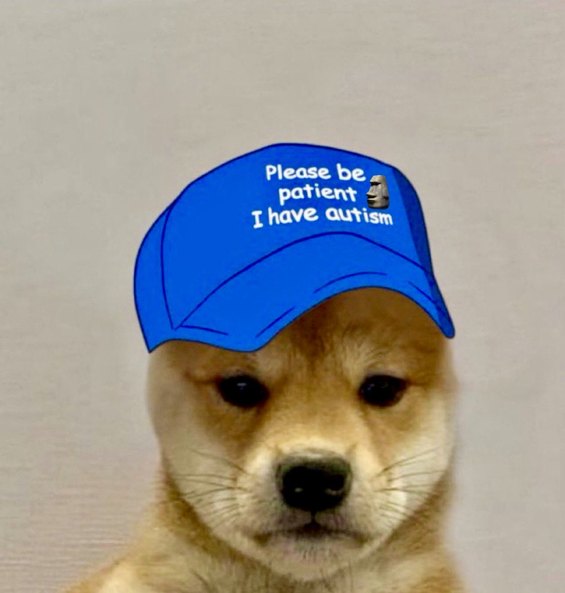 ShiningforceNL's tweet photo. $WIF is going to successfully break that $1 memecoin resistance where so many others have failed before. And when that happens a few kindred spirits will follow suit before the portal closes again.🗿 https://t.co/Rh07qggrLO
