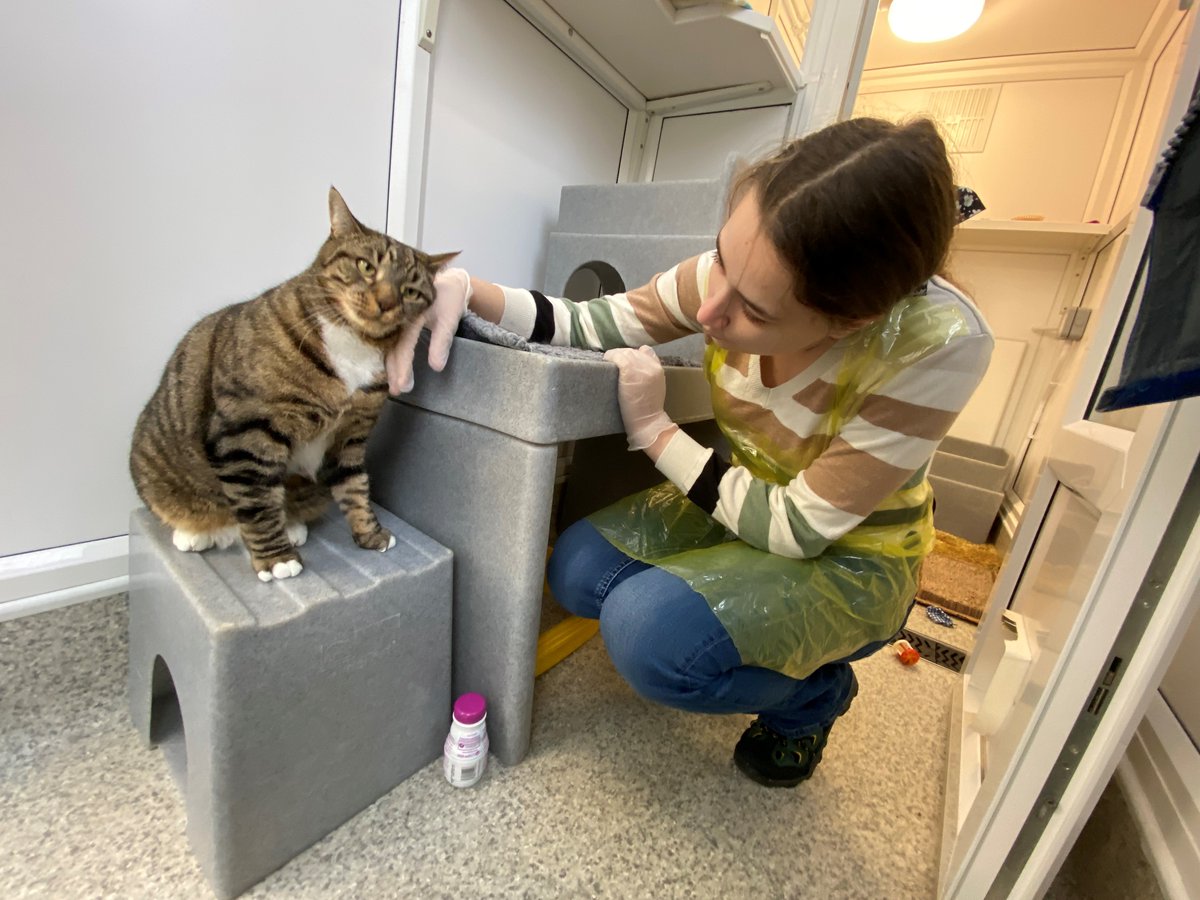 Alice volunteers at our Eastbourne Adoption Centre as part of her college course and helps look after the cats by assisting with feeding, cleaning and socialising, along with other tasks! You can learn more here: spr.ly/VolunteeringAt… #StudentVolunteeringWeek