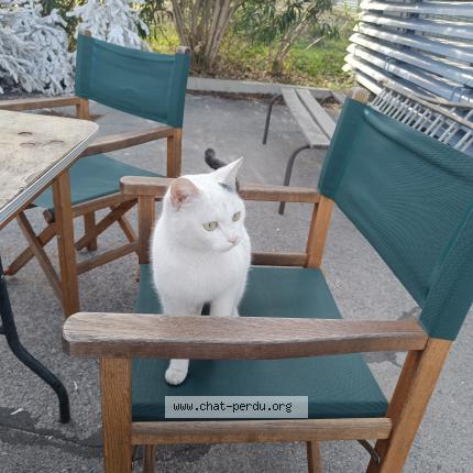 Minou Perdu tweet media