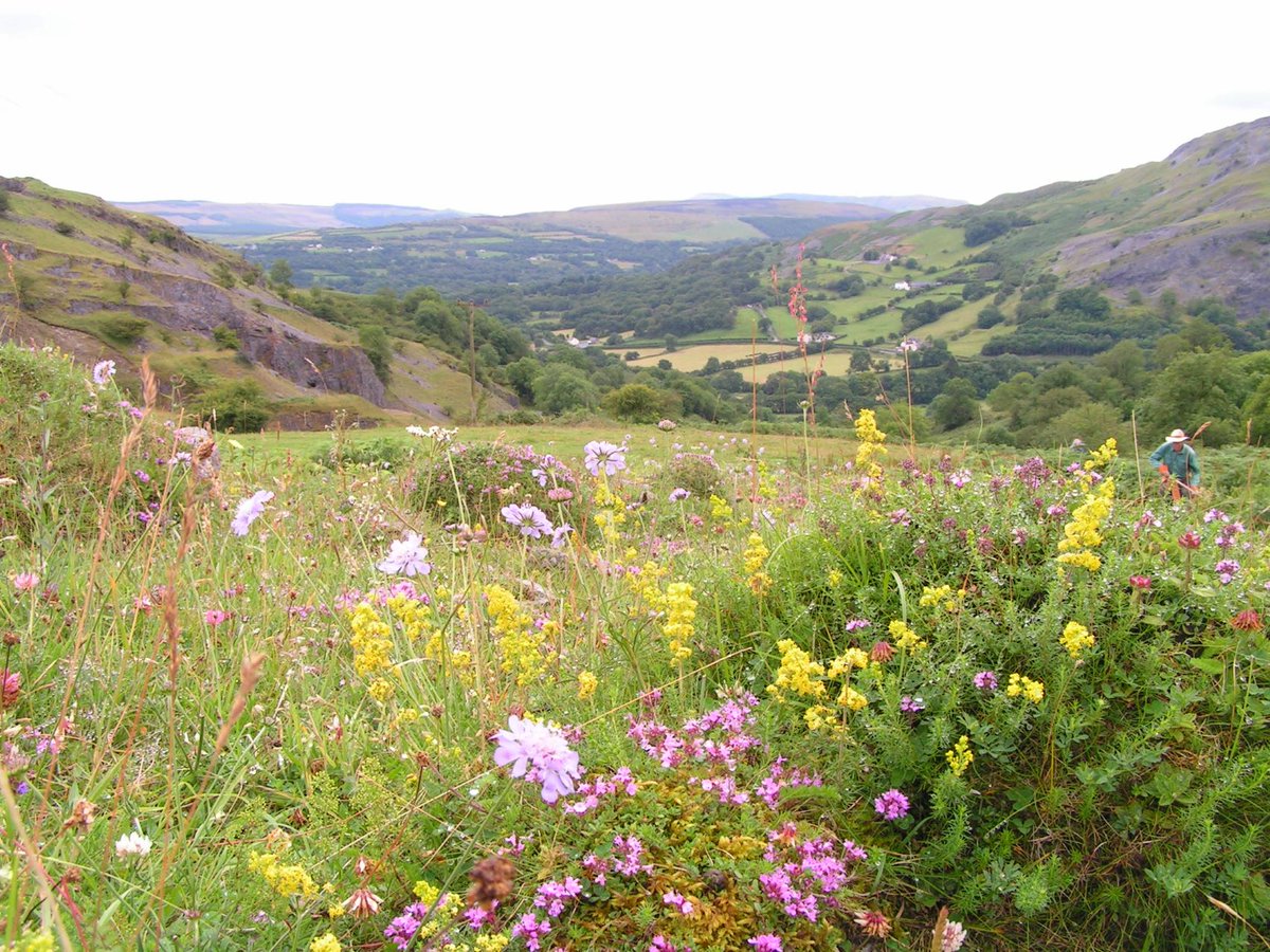 Did you know almost 90% of Wales is farmland?
The new Sustainable Farming Scheme must support #naturefriendlyfarming. Tell the Welsh Government why! Have your say, today! wtru.st/SFS-English
