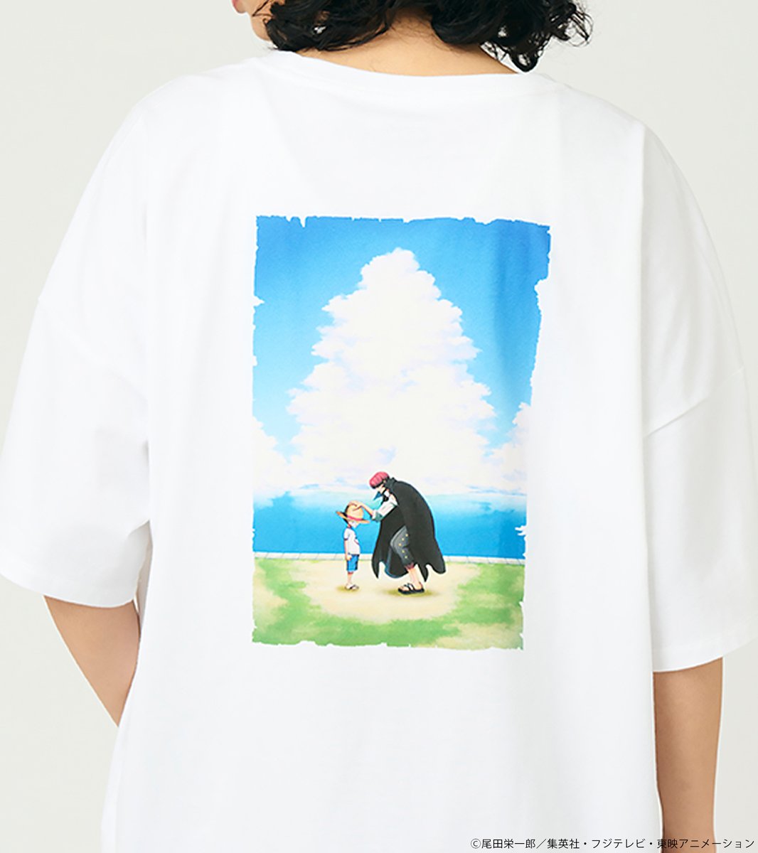 海賊に憧れるルフィがシャンクスから麦わら帽子を託される幼き頃のワン