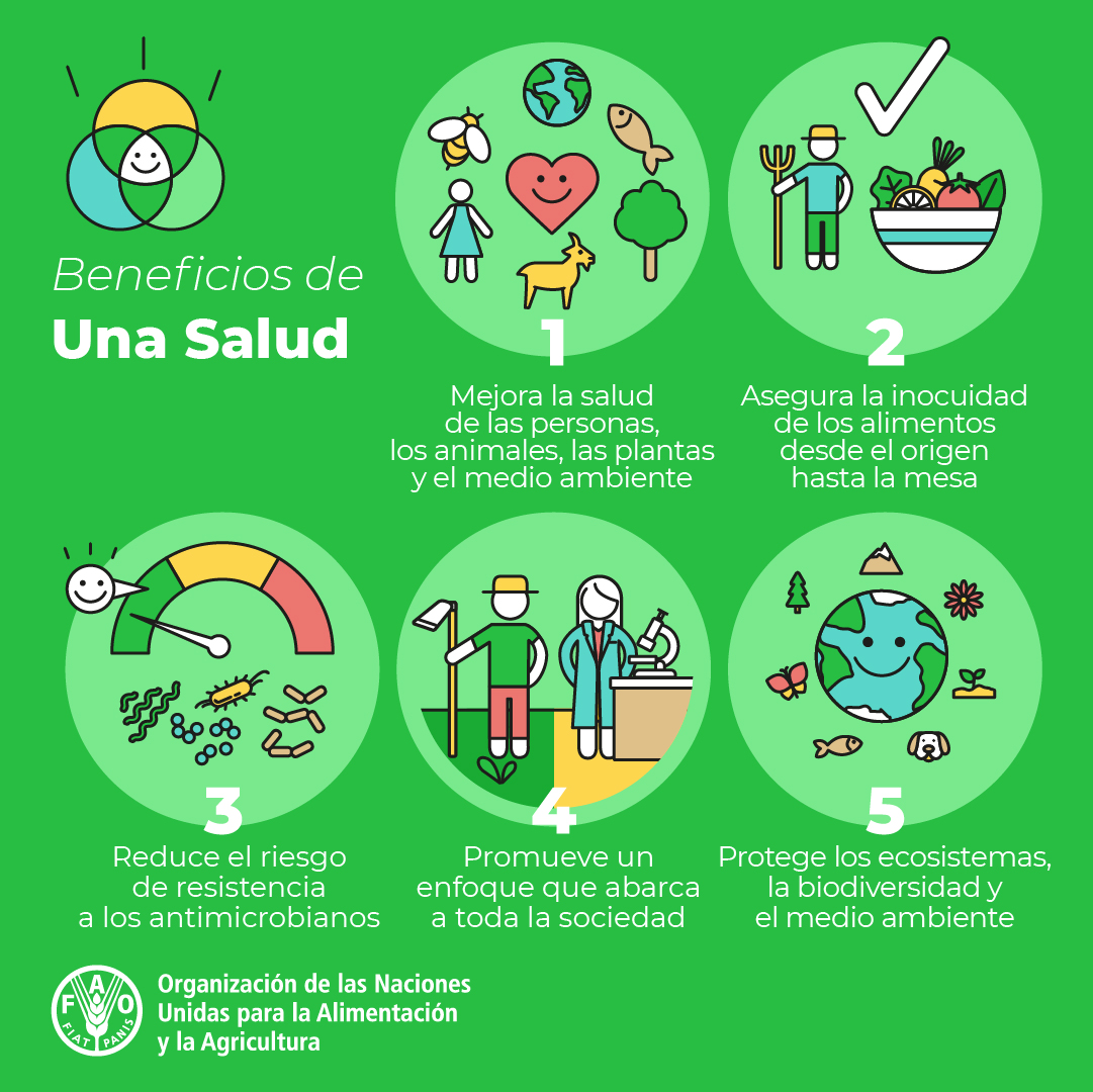 🌎 Para construir un futuro mejor para todos, hay que abordar los problemas sanitarios mundiales. Y para ello debemos colaborar todos los sectores.

¿Por qué? Porque la salud humana, animal, vegetal y medioambiental están inextricablemente unidas.

Trabajemos juntos por #UnaSalud