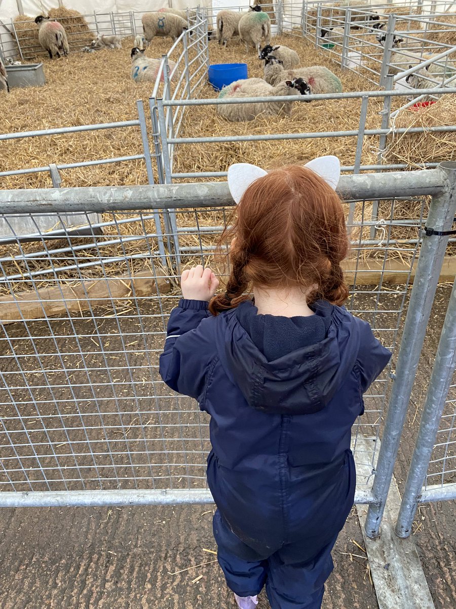 Many of the Limeys are working parents, so having the flexibility to juggle work and the half term break helps to take some of the pressure off. Holly was able to down tools for a couple of days this week to enjoy a very soggy trip to the farm park!

#LimeLife 💚