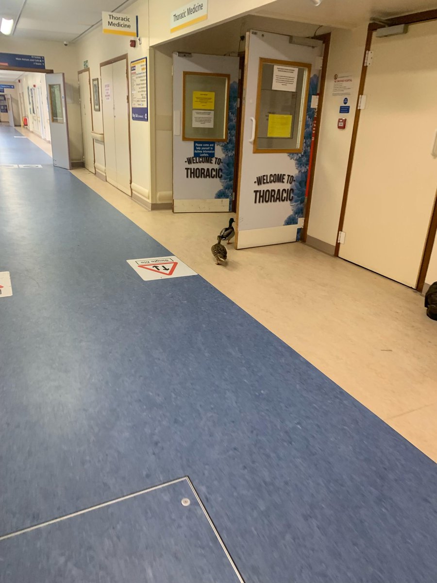 University Hospitals Dorset NHS Foundation Trust tweet media