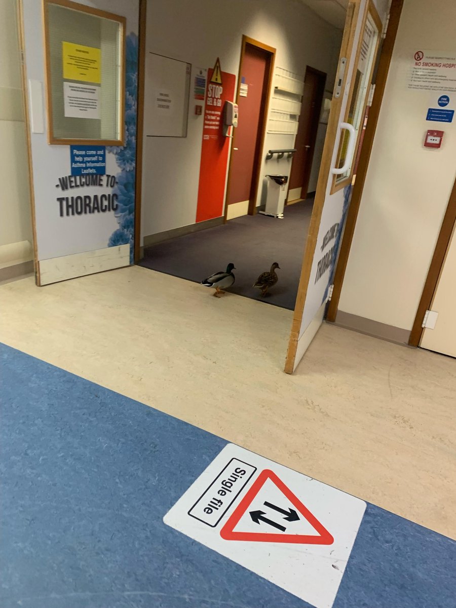 University Hospitals Dorset NHS Foundation Trust tweet media