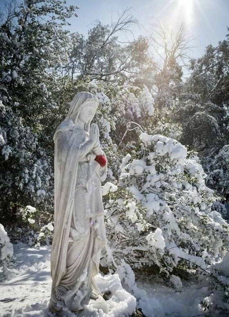 PrayTheRosary's tweet photo. Hail Mary, full of grace, 
the Lord is with Thee.
Blessed art Thou amongst women
And Blessed is the fruit of Thy womb, Jesus.
Holy Mary, Mother of God
Pray for us sinners now
and at the hour of our death.
Amen https://t.co/L4QbOqXRDK