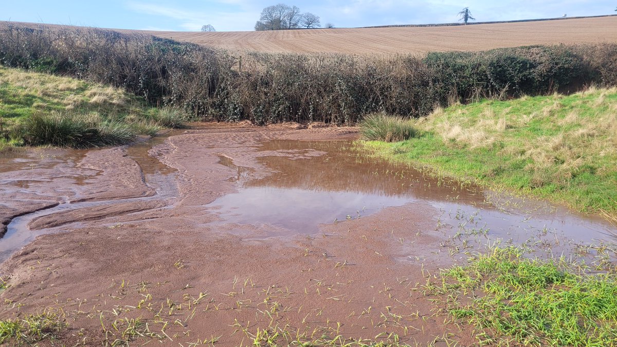 Before (May 2023) & After (Feburary 2024) of a #sediment #pond in #Hereford. Whilst it has done its job the #wildlife has suffered reducing #macroinvertebrate #biodiversity. I'm working with the landowner to look at the recovery of macroinvertebrates over the next year #PhD