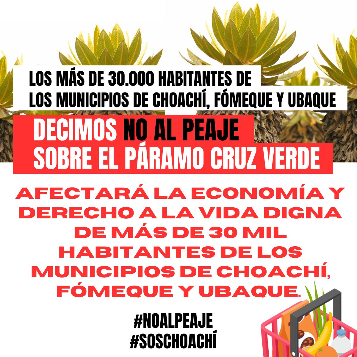 Los más de 30.000 habitantes de los municipios de Choachí, Fómeque y Ubaque NOS OPONEMOS ROTUNDAMENTE a la instalación del peaje en el páramo Cruz Verde, vía Bogotá - Choachí. #NoAlPeaje #SOSChoachí <a href="/ANI_Colombia/">Agencia Nacional de Infraestructura</a> <a href="/PerimetralOB/">Perimetral Oriental de Bogotá</a> <a href="/MinTransporteCo/">MinTransporte</a> <a href="/MinAmbienteCo/">MinAmbiente Colombia</a> <a href="/UltimaHoraCR/">ÚltimaHoraCaracol</a>