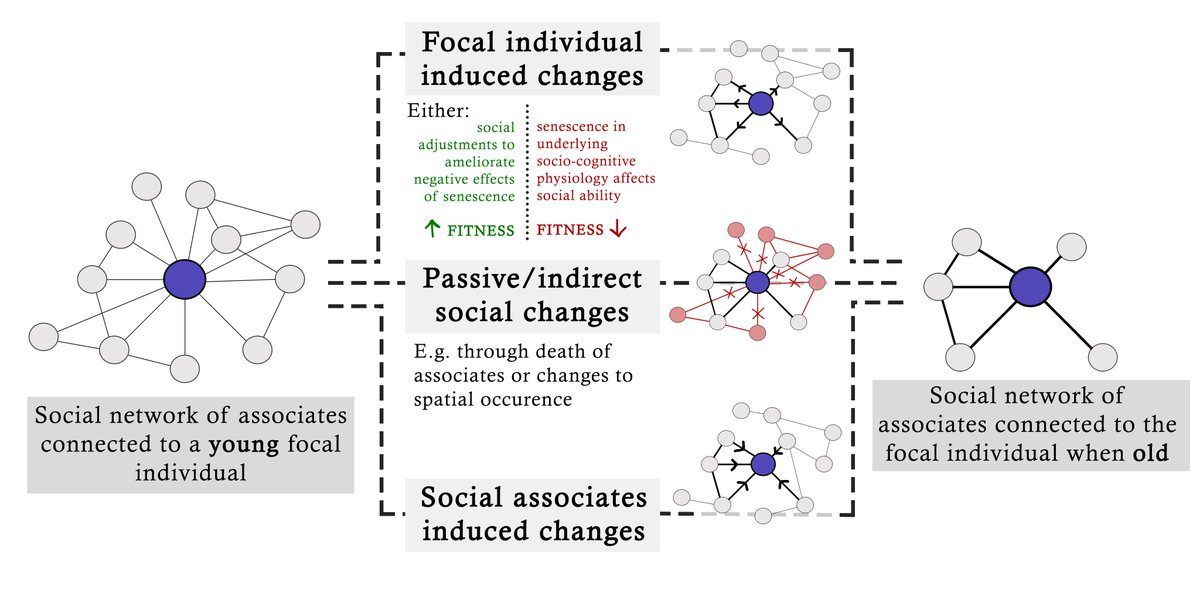 Josh Firth tweet media