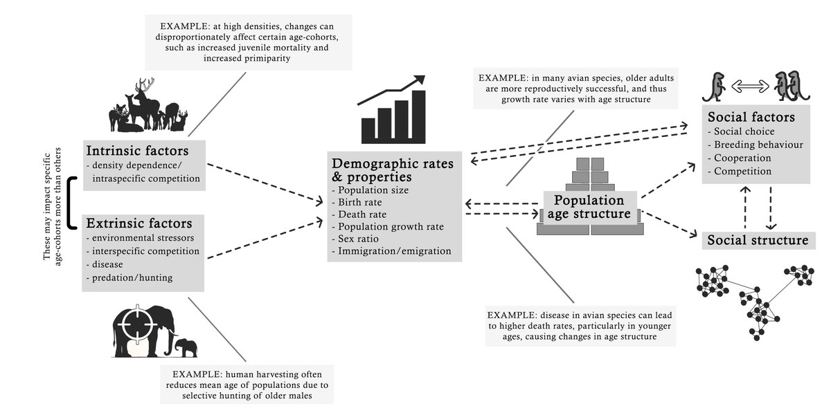 Josh Firth tweet media