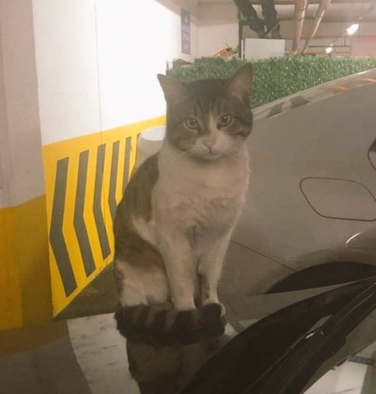 chandlerbingiz's tweet photo. O cani tutuklanana kadar acımızı taze tutmak pahasına Eros'u hatırlatacağız.

Çünkü Eros'u unutmamak sadece onun katiline ceza aldırmak için önemli değil. Katili ceza alırsa gelecekte yüzlercesi bu şekilde katledilmekten kurtulacak belki.

#ErosİçinAdalet
#ibrahimKeloğlanTUTUKLANSIN