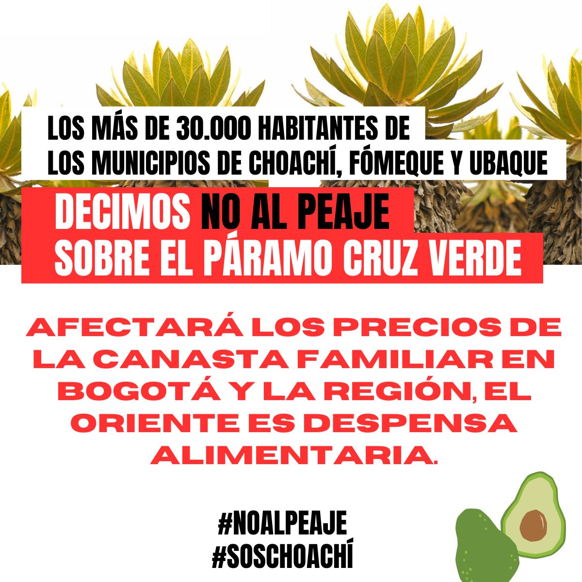 Los más de 30.000 habitantes de los municipios de Choachí, Fómeque y Ubaque NOS OPONEMOS ROTUNDAMENTE a la instalación del peaje en el páramo Cruz Verde, vía Bogotá - Choachí. #NoAlPeaje #SOSChoachí <a href="/ANI_Colombia/">Agencia Nacional de Infraestructura</a> <a href="/PerimetralOB/">Perimetral Oriental de Bogotá</a> <a href="/MinTransporteCo/">MinTransporte</a> <a href="/MinAmbienteCo/">MinAmbiente Colombia</a> <a href="/UltimaHoraCR/">ÚltimaHoraCaracol</a>