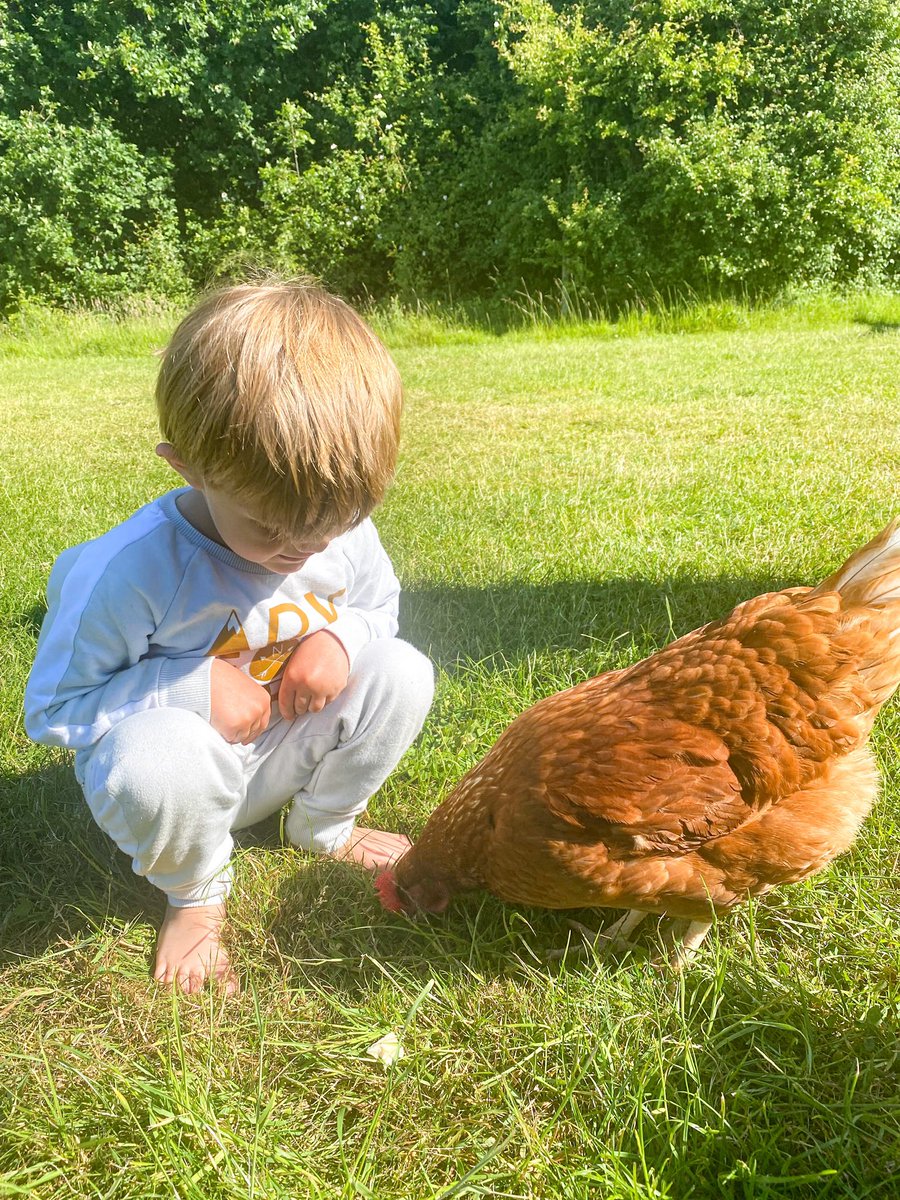 Secret Meadows tweet media