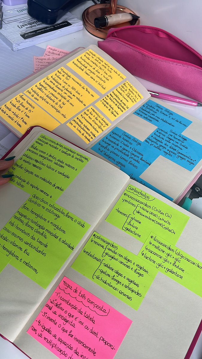 larisstudys's tweet image. sinto q os caderninhos estão me ajudando bastante a n esquecer de termos importantes!! principalmente em bio que tem bastante decoreba