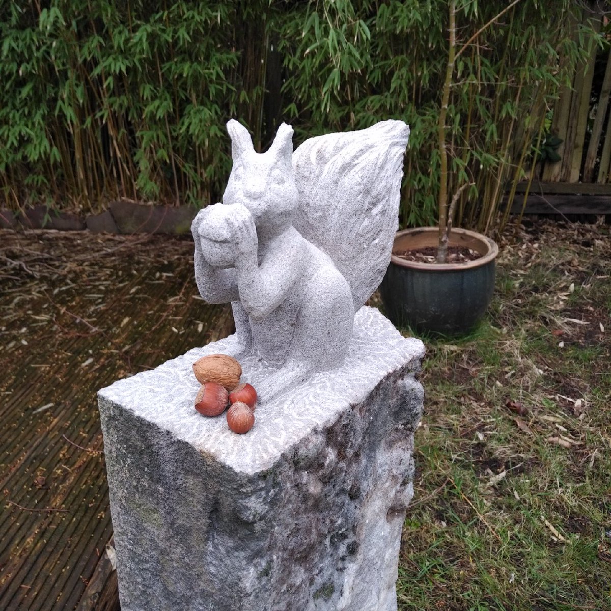 v_i_o_l_a's tweet photo. ich habe einen neuen gartenmitbewohner. 🐿🥰
aus einer münsteraner werkstatt: https://t.co/P25iDtheH5
#squirrelcontent #squirrelsoftwitter https://t.co/Q4JWuPQQKP