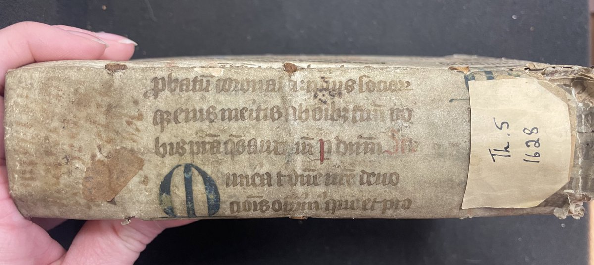 RareBookYvette's tweet image. A very happy #FragmentFriday from me and this adorable little early modern book robed in a medieval bifolium parchment cover. 📜 

@SCA_MULibrary RB TH 5 1628, Cologne

#Fragmentology #bookcovers
