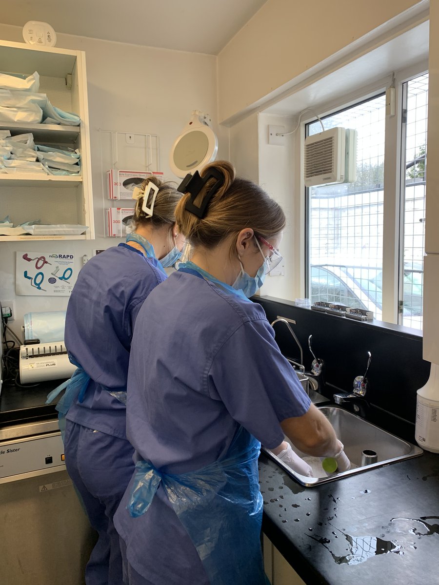 dashdental's tweet photo. Its a busy busy day here at DaSh.
Lots of instruments to clean and sterilise but at least it keeps us out of mischief. 

Have a great weekend everyone.

#manchesterdentist #dashdental #busyweekattheoffice #weloveourjob #workinghard #cleaning #DaSh https://t.co/LUUPbjEptO
