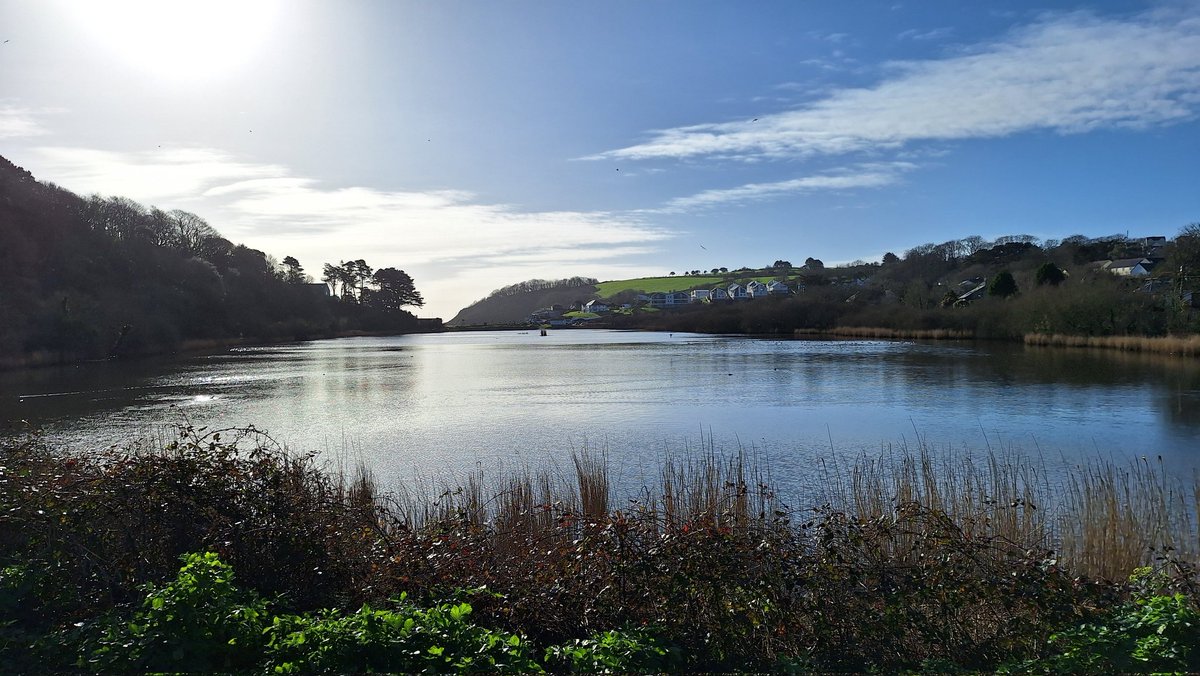 BevHunt72's tweet photo. #Walk37 of my 55 walk challenge to raise funds for #OneMedicine @HumanimalTrust is going well..sun's out and #Gyllyngvase beach is looking nice as is #Swanpool..
https://t.co/Qfp9d2j80g https://t.co/vwGyQmG2Cj