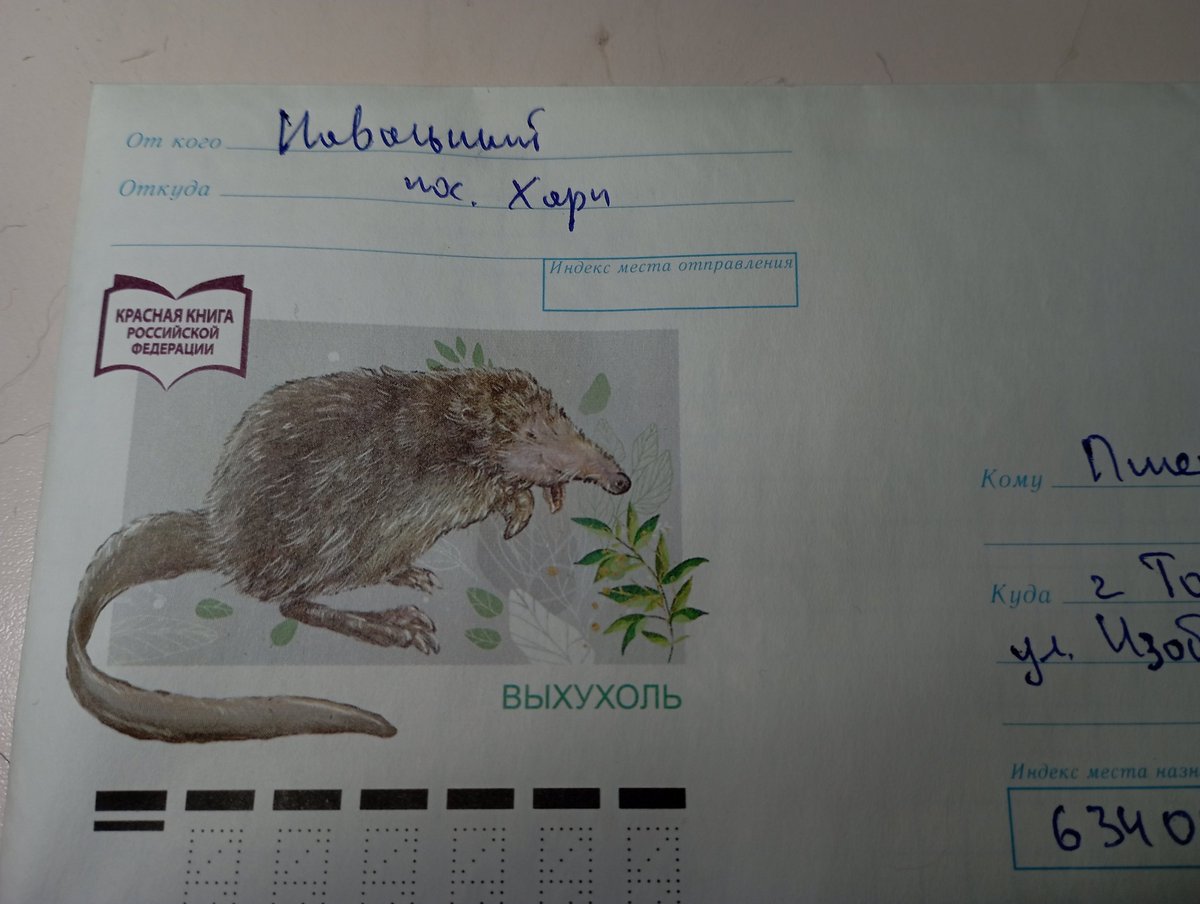 пшеничная вера🤍💙🤍 tweet media