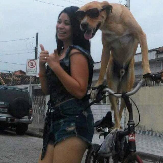 hello darling how are you😁