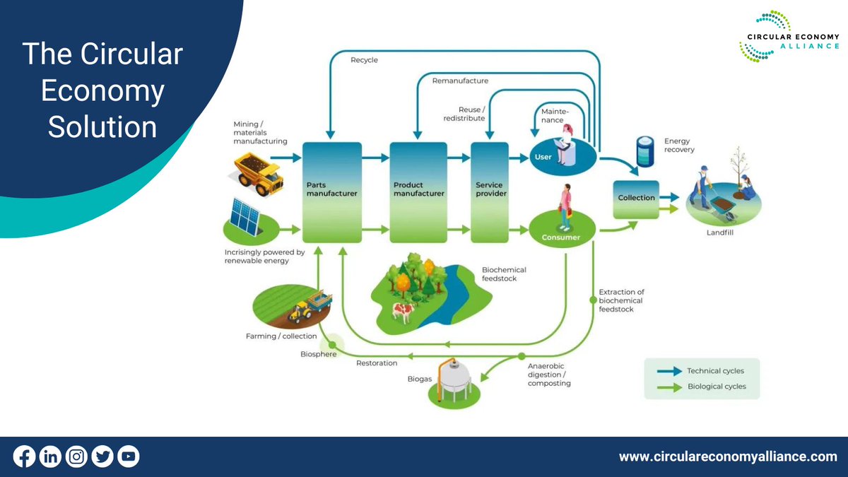 The current trajectory of business-as-usual has ignited crises that demand a paradigm shift. 
Discover how the #CircularEconomy not only meets human needs but does so while respecting planetary systems and the intricate web of non-human life.  
circulareconomyalliance.com