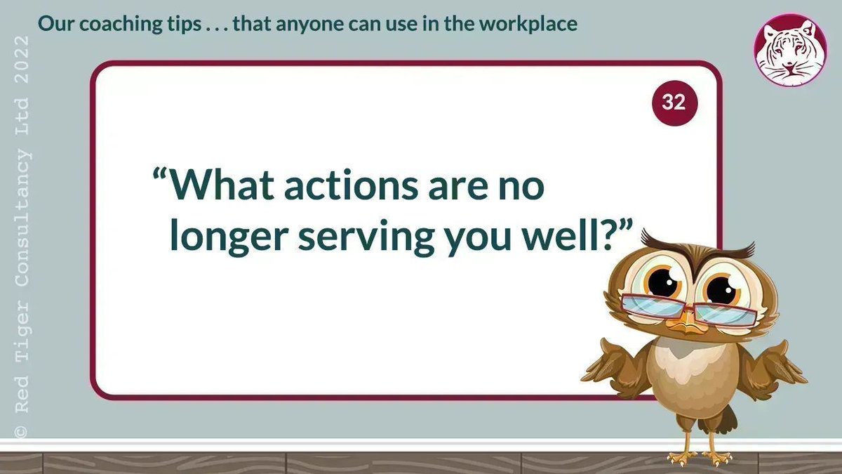 RedTiger Consultancy tweet media