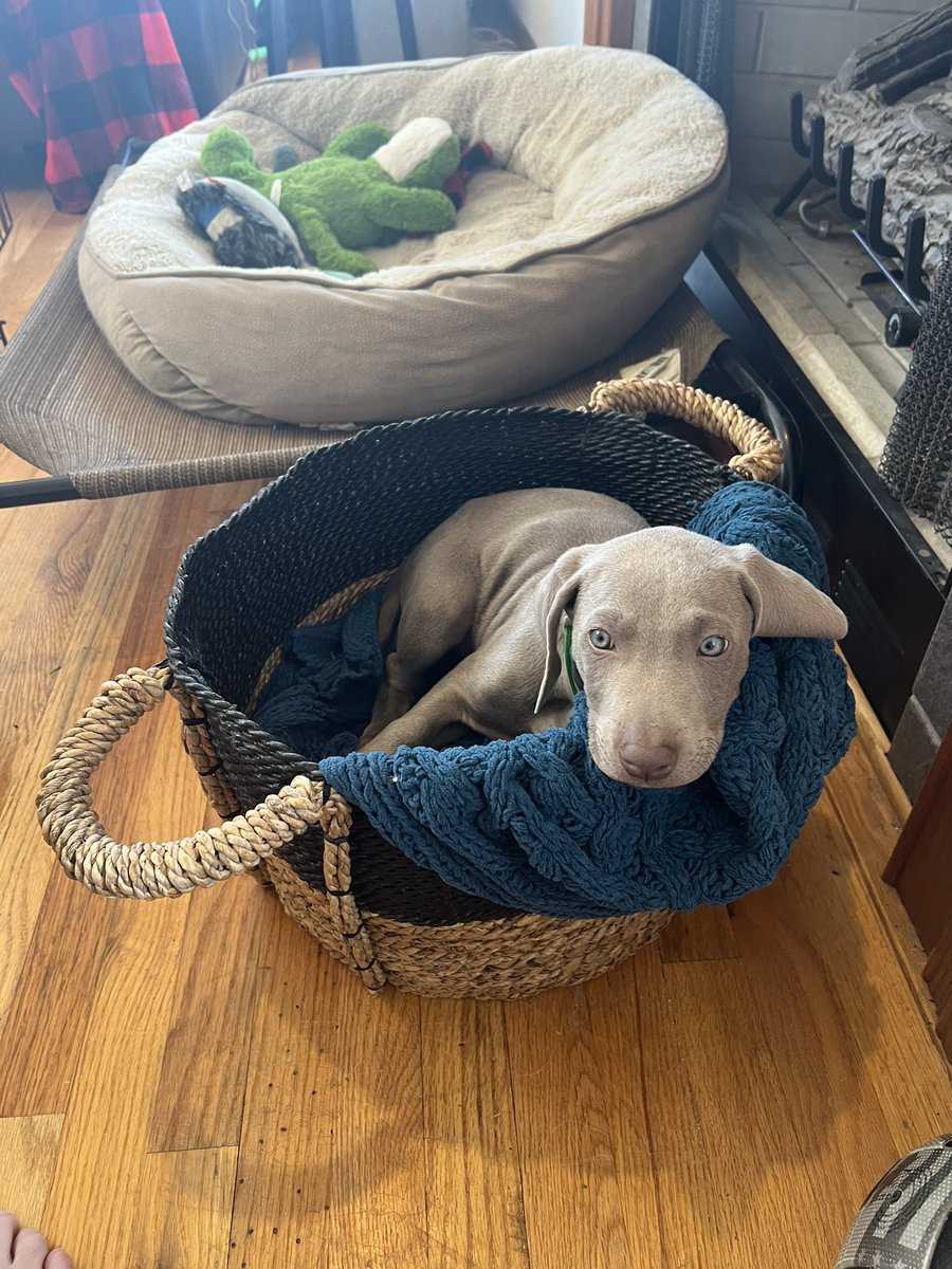 klahmers's tweet photo. @HPolymenis Thinking good thoughts. Winston Furrchill. https://t.co/N811M5QmGd