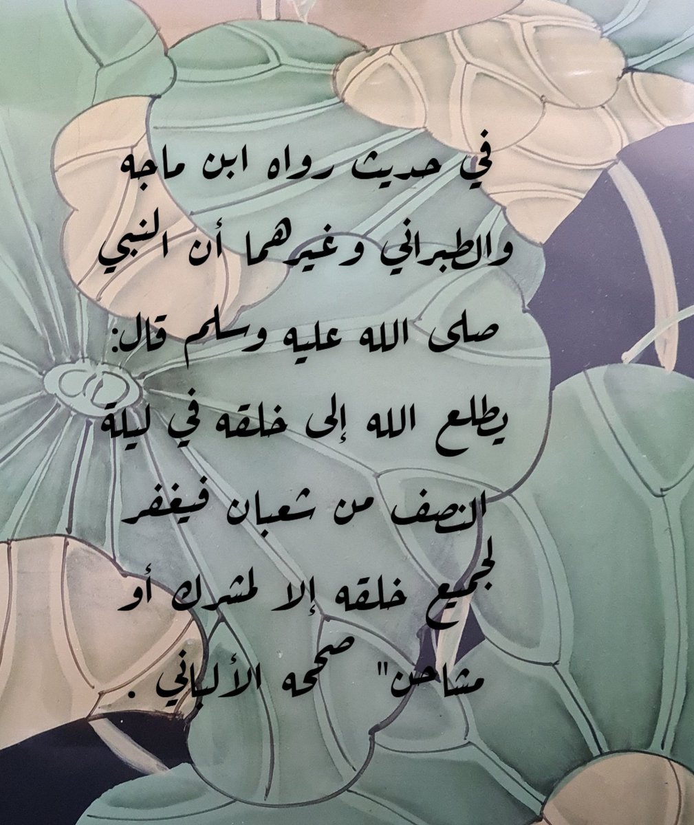 shata_ali1's tweet photo. https://t.co/WR7oJN7Lgs