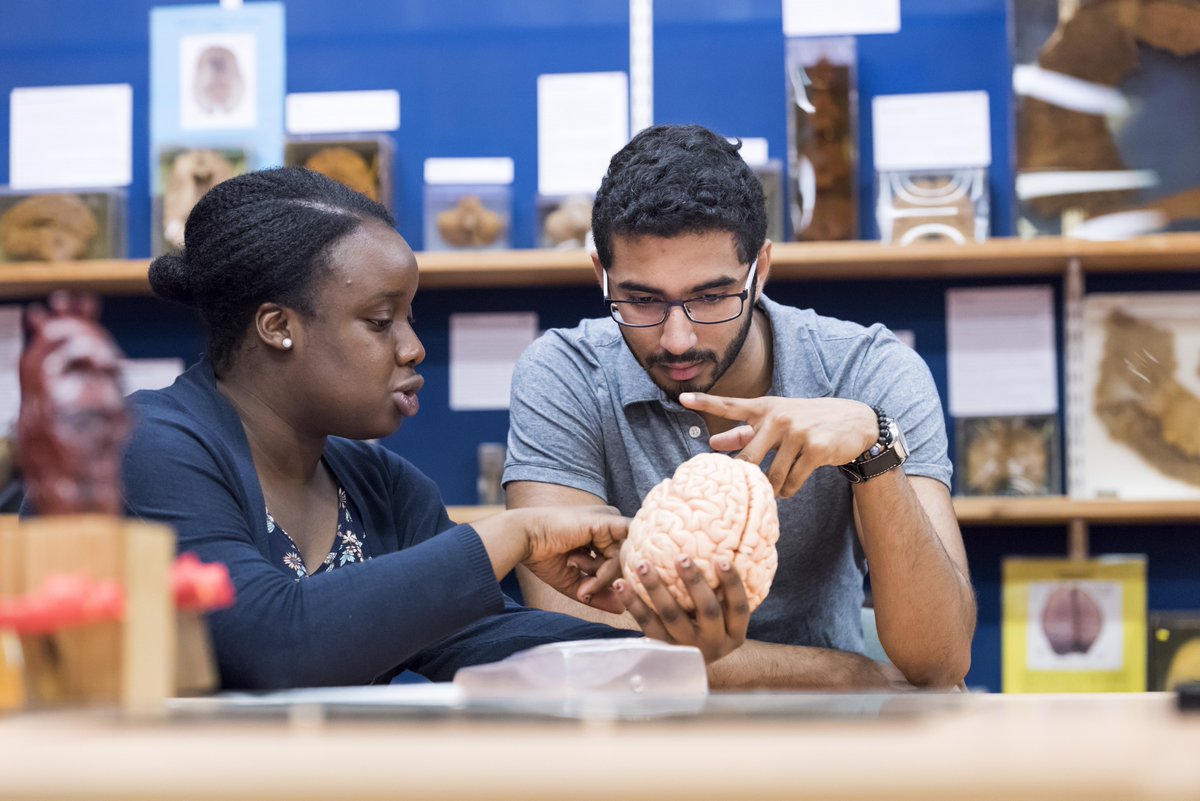 School of Health & Medical Sciences tweet media