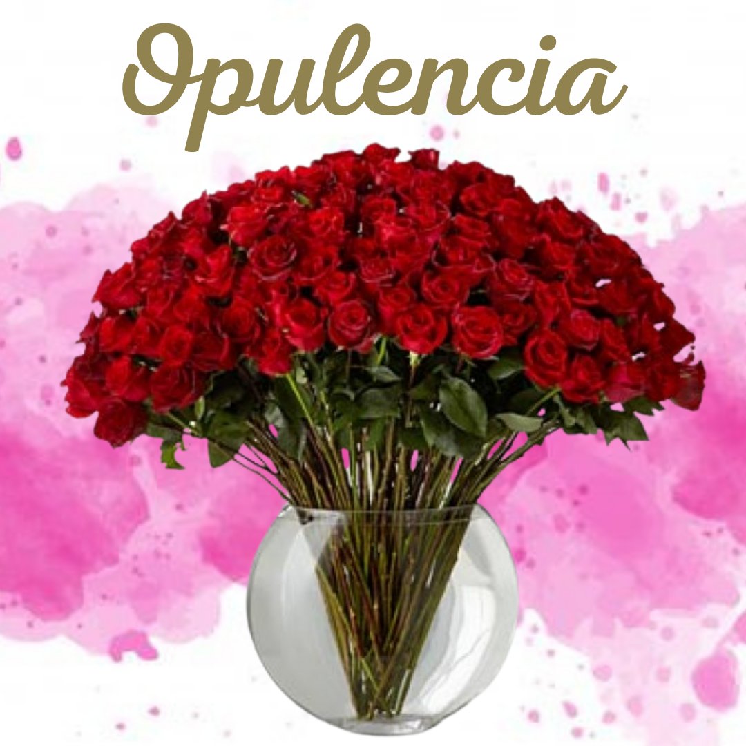 FloresGuru's tweet photo. La magnificencia de nuestro opulencia sin duda dejará sin palabras a quien lo regales 🤩

#Opulencia #RosasRojas #Rosas #ArreglosFlorales #SanValentín https://t.co/Q7P5kQOe4s