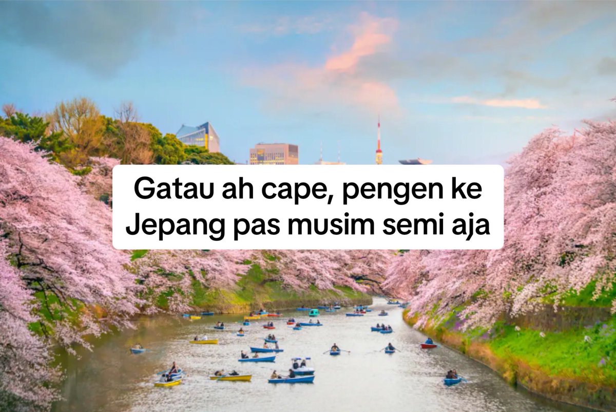 traveloka tweet picture