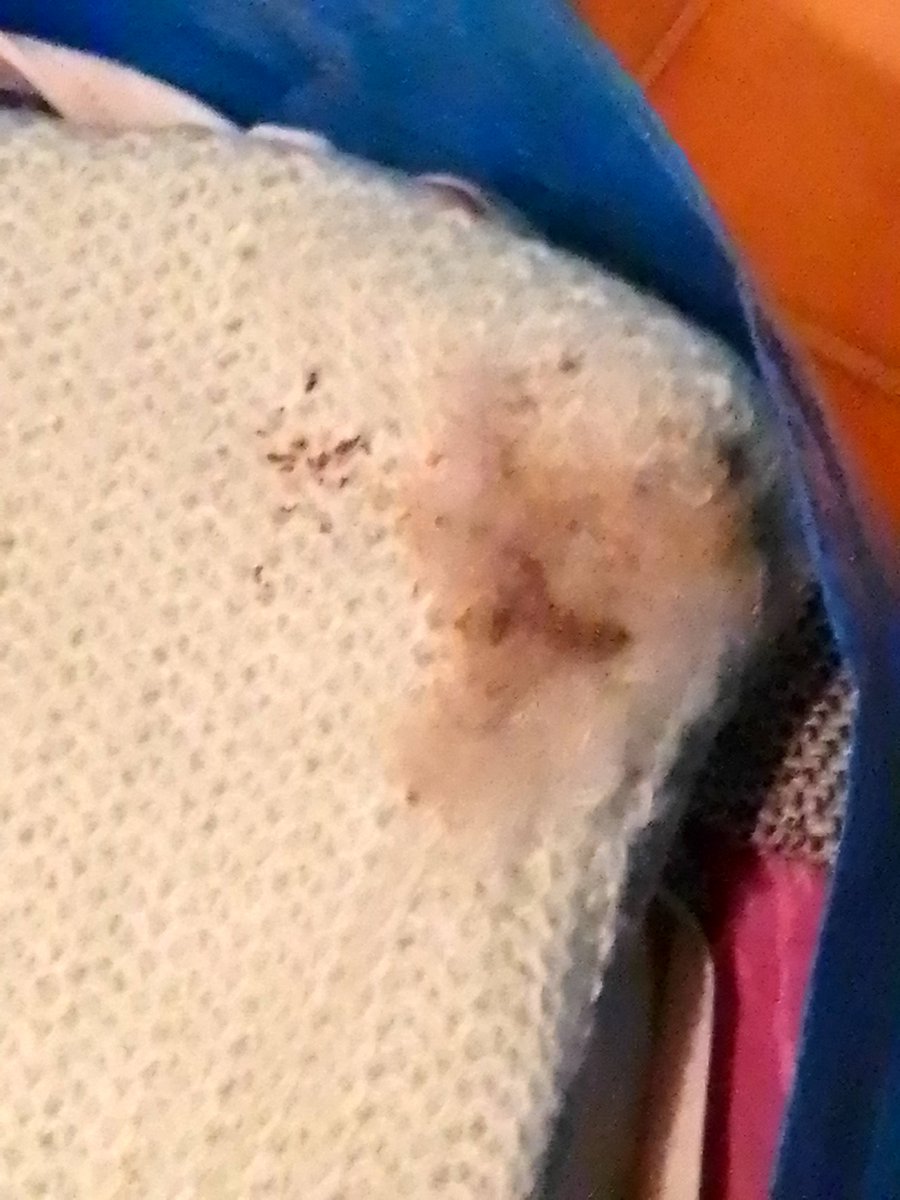 <a href="/SafestoreLtd/">Safestore</a> This company treats its customers abominably. We experienced £15k worth of damage plus hundreds of missing items. The unit was mouse infested with faeces everywhere and dead mice. We've received a fraction of the amount we require - zero responsibility or apology.