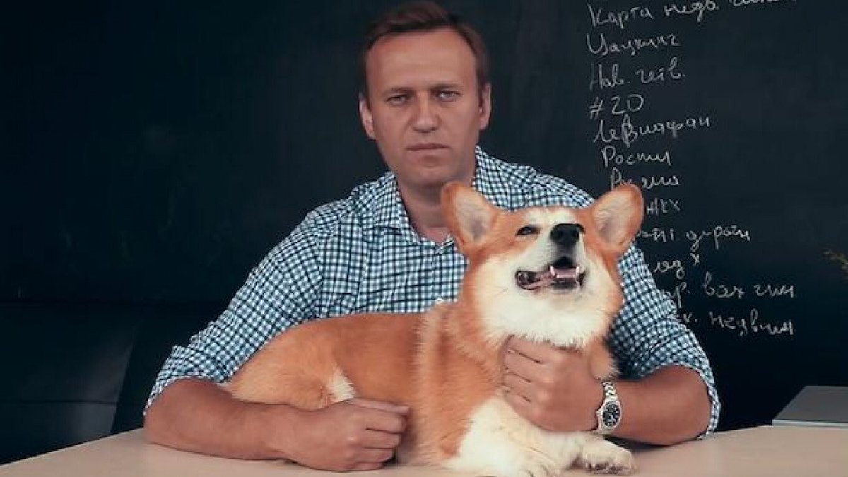 Alexei Navalny has “died” in a Russian prison. #PutinIsAMurderer.