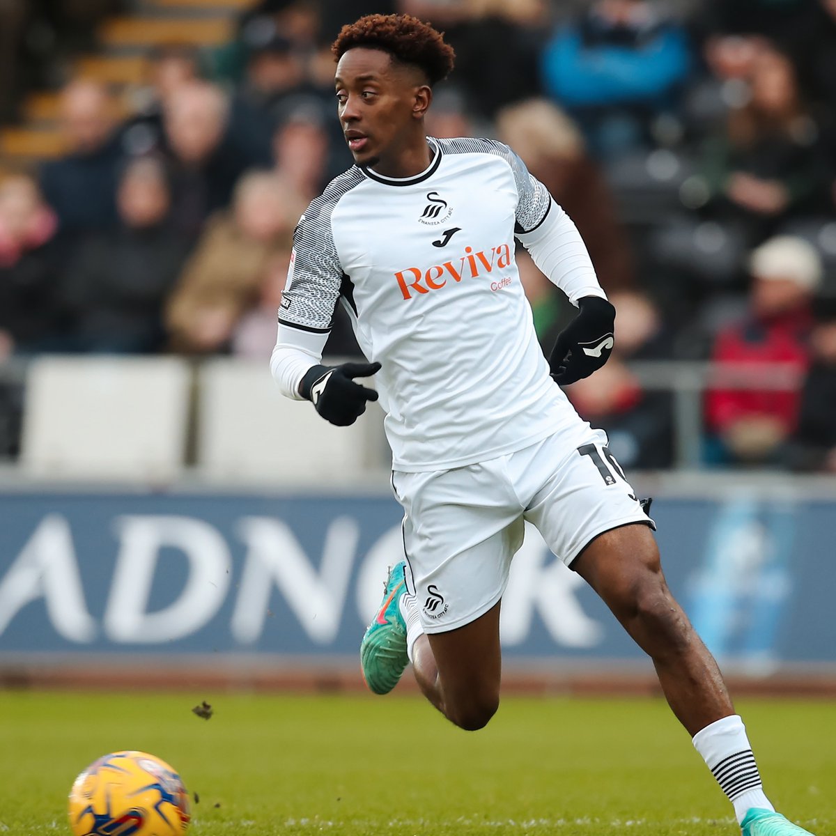 🦢 WeAreSwansea 🦢 tweet media