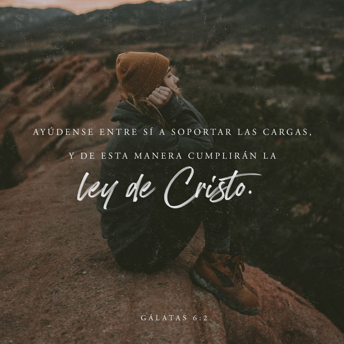 LuisJ_Torres's tweet photo. Deja que otros te ayuden ❤️
Devocional del día: https://t.co/mXGfscAMuT https://t.co/hjODDMOuEr