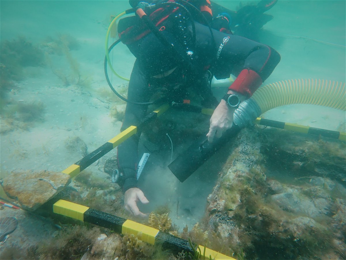 Aviation Cultures Conferences tweet media