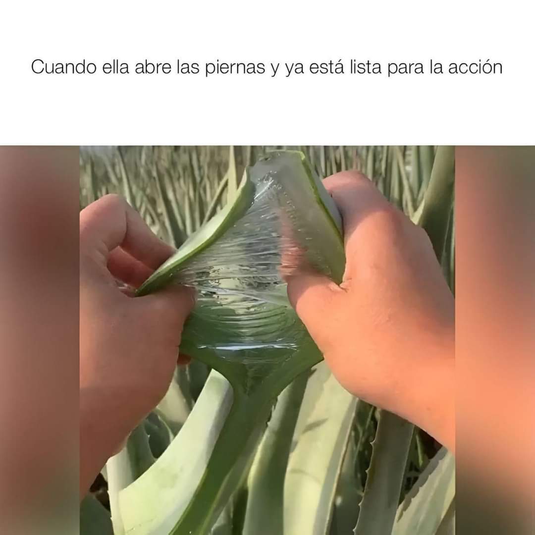 Confesiones 🏳️‍🌈 tweet media