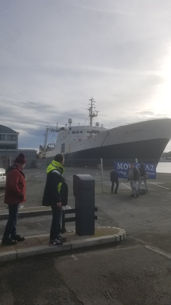 Ligneurs de la Pointe de Bretagne tweet media